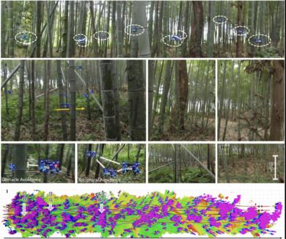 Watch a swarm of drones autonomously track a human through a dense forest1